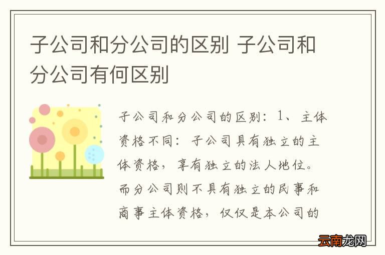 子公司和分公司的区别 子公司和分公司有何区别