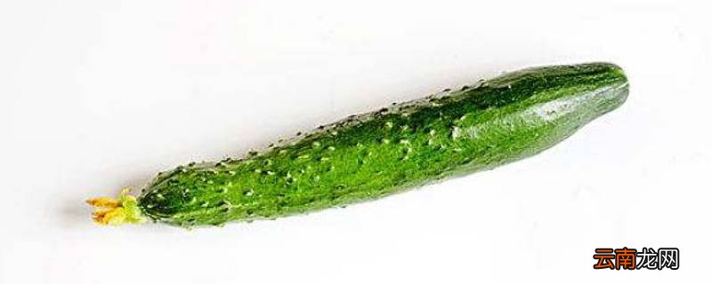 素黄瓜怎么炒好吃