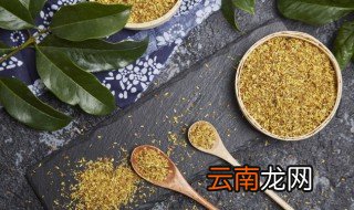 桂花适合什么时候种植 桂花什么时候种植好