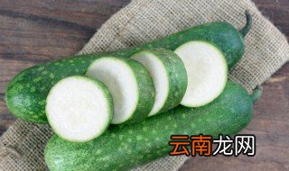 冬瓜什么时候上种植呢 冬瓜什么时候开始种植