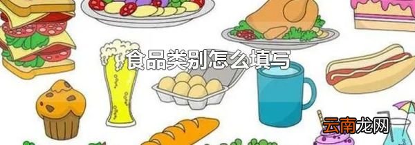 食品类别怎么填写