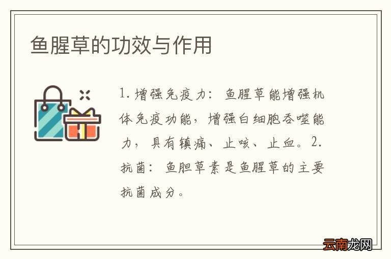 鱼腥草的功效与作用