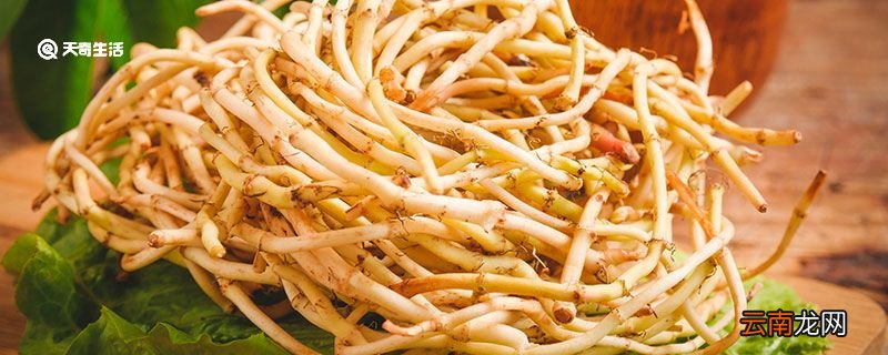 鱼腥草的功效与作用