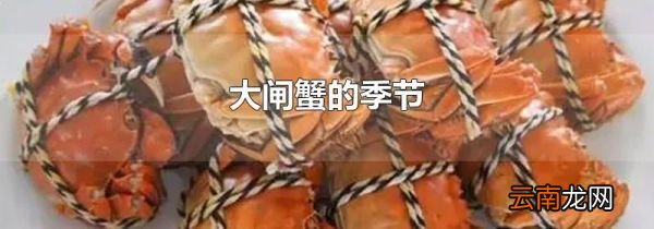 大闸蟹的季节