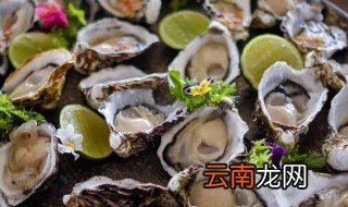 黄瓜和海蛎子能一起吃吗 海鲜和黄瓜能一起吃吗