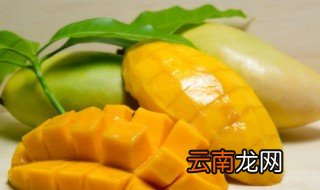 金煌芒果什么程度算熟了 金煌芒果如何判断熟没熟