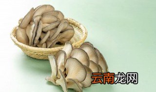 蘑菇跟香菜能不能一起吃 蘑菇跟香菜能否一起吃