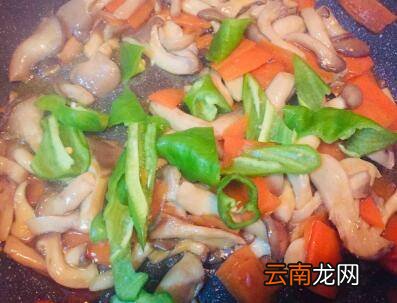 素炒蘑菇怎么炒好吃