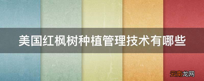 美国红枫树种植管理技术有哪些