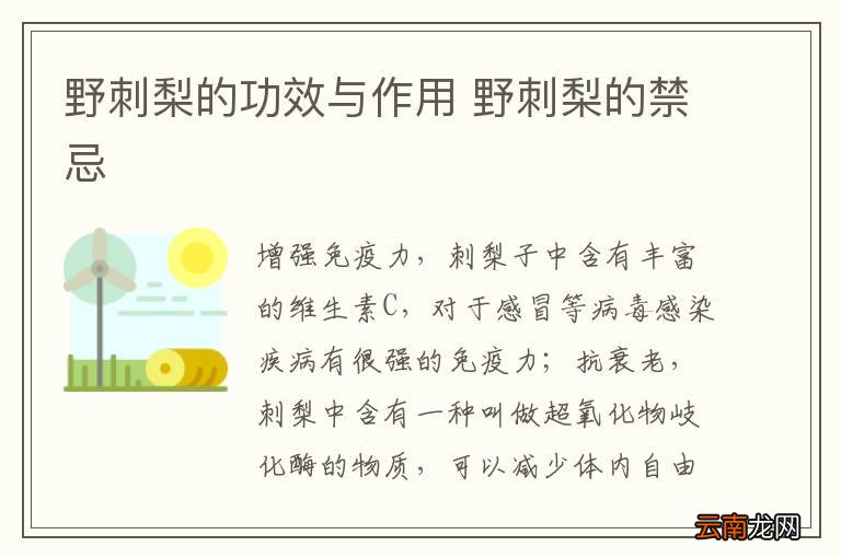 野刺梨的功效与作用 野刺梨的禁忌