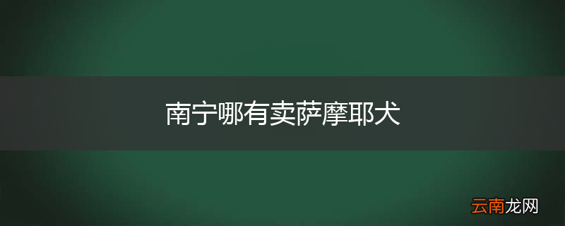 南宁哪有卖萨摩耶犬