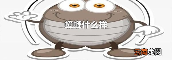蟑螂什么样
