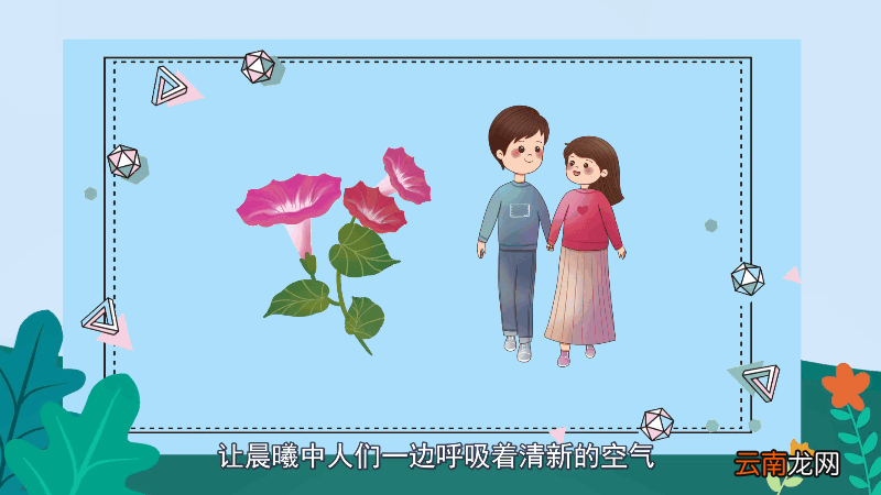 喇叭花花语 喇叭花花语是什么