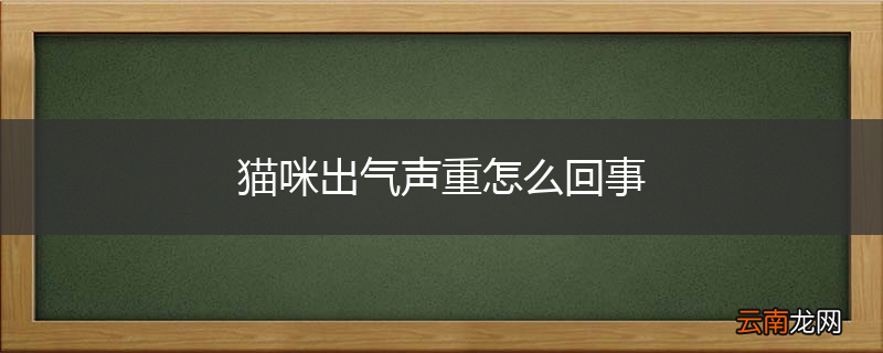 猫咪出气声重怎么回事