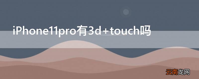 iPhone11 Pro Max有3d touch吗