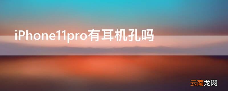 iPhone11 Pro Max有耳机孔吗