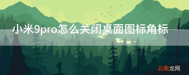 小米9怎么隐藏桌面图标 小米9pro怎么关闭桌面图标角标
