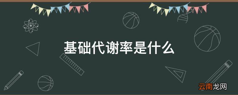 基础代谢率是什么