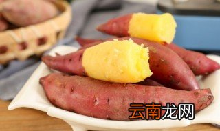 地瓜什么时候播种，地瓜什么时候播种子