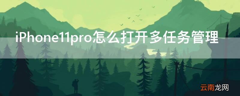 iPhone11 Pro Max怎么打开多任务管理