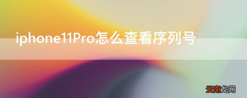 iPhone11怎么查看序列号 iPhone11Pro怎么查看序列号