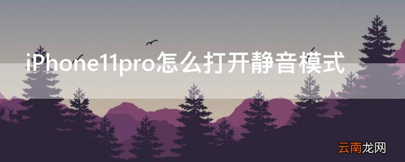 iPhone11 Pro Max怎么打开静音模式