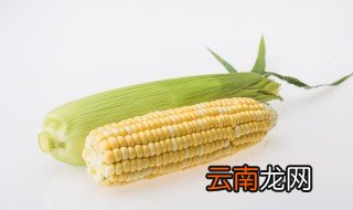 玉米棒棒煮多久就熟了 玉米棒煮几分钟就熟了