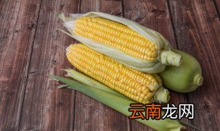 玉米冷水煮开后,还要煮多久 玉米煮多久就熟了要过冷水