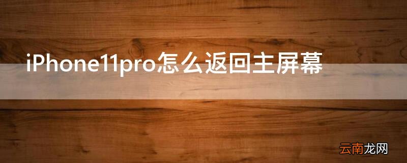 iPhone11 Pro Max怎么返回主屏幕