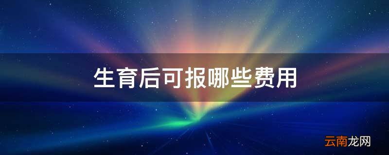 生育后可报哪些费用