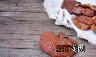 灵芝怎么栽培，灵芝怎么培植