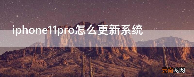 iphone11pro怎么更新软件 iPhone11pro怎么更新系统