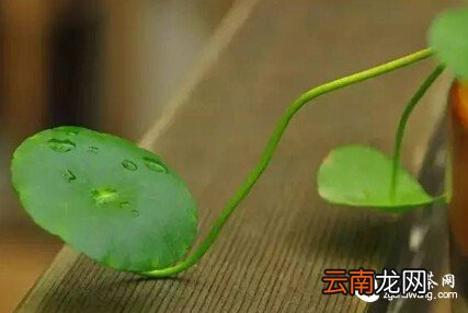 懂得进退，方能成就人生
