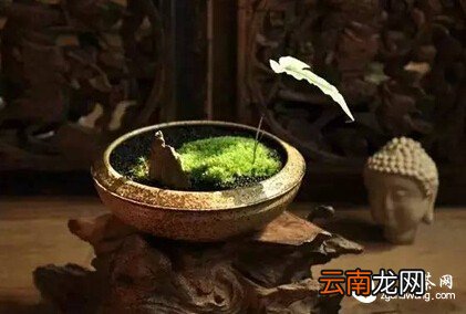 懂得进退，方能成就人生