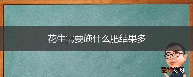 花生需要施什么肥结果多