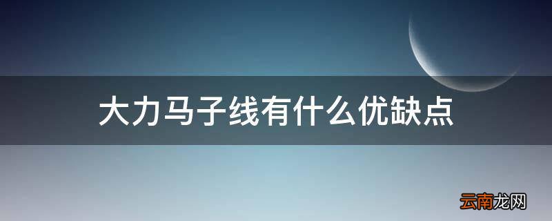 大力马子线有什么优缺点