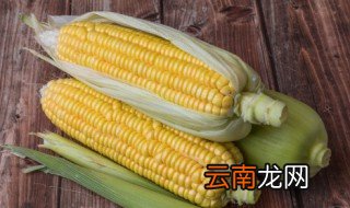 煤气锅煮玉米煮多久就熟了 煤气锅煮玉米煮多久就熟了啊