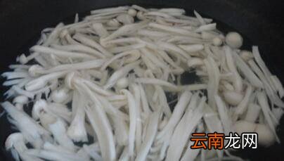 肉炒海鲜菇怎么做好吃