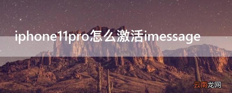 iphone12pro手机如何激活 iPhone11pro怎么激活imessage