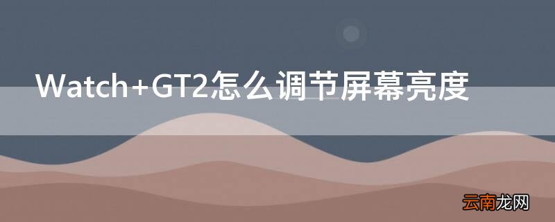 Watch GT2怎么调节屏幕亮度