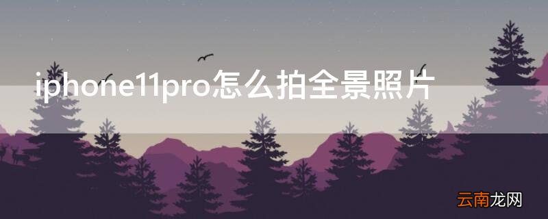 苹果11pro全景怎么拍 iPhone11pro怎么拍全景照片