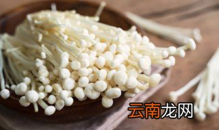 小妙招金针菇的根怎么栽培 怎样栽培金针菇的根