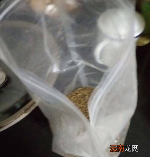荞麦茶怎么炒