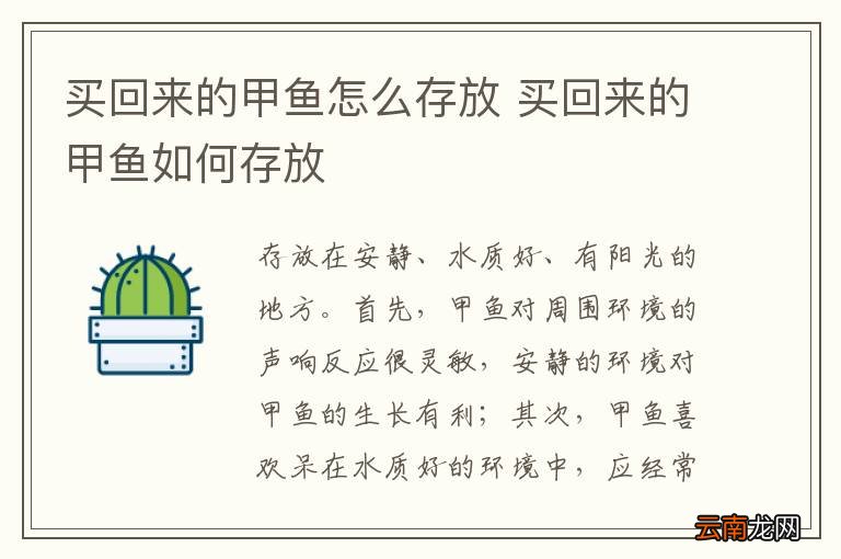 买回来的甲鱼怎么存放 买回来的甲鱼如何存放