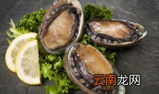 鲍鱼汤一般煮多久就熟了，鲍鱼煮汤要煮多久才会熟