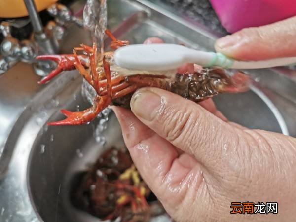 蒜蓉小龙虾怎么做