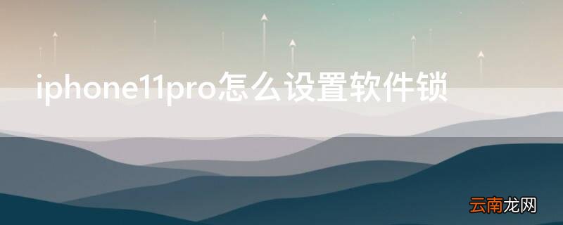 iPhone11pro怎么设置软件锁 iphone12pro怎么设置应用锁