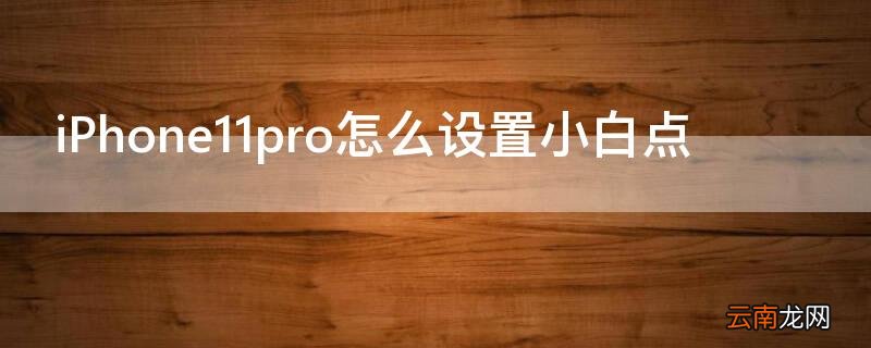 iPhone11 Pro Max怎么设置小白点