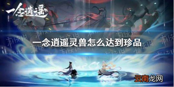 一念逍遥灵兽怎么达到珍品 一念逍遥灵兽品质提升