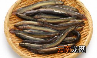泥鳅要煮多久就熟了 泥鳅要煮多久就熟了吃